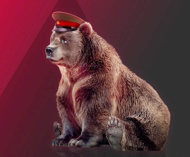 Cavalry Bear — Branding & Print